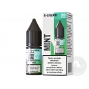 E-LIQUID AROMA KING SALT MINT 10 ml 20 mg